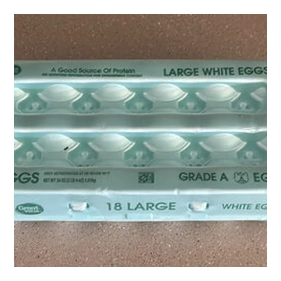 Large White Eggs