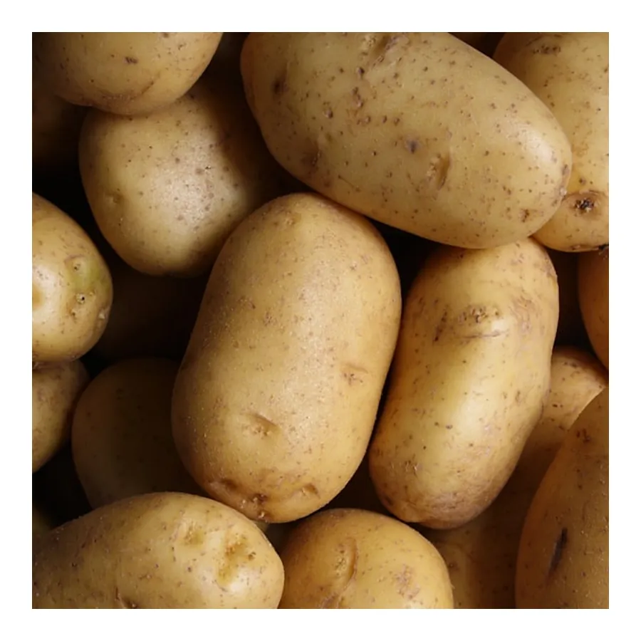 Russet Potatoes